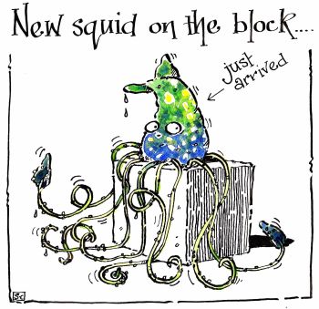 New Squid On The Block Birthday Card