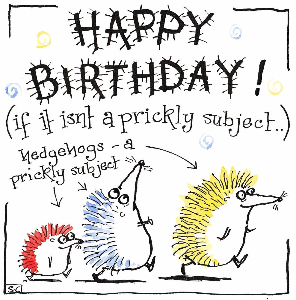 Birthday card with hedgehogs caption Happy Birthday if it isn't a prickly s