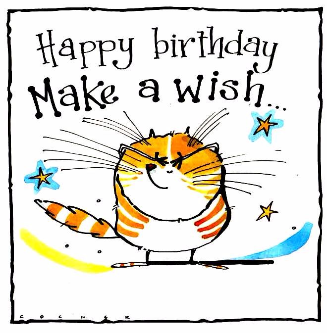 Birthday card with ginger cat with caption Happy Birthday Make A Wish