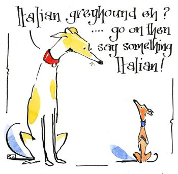 Greyhound Meets Italian Greyhound Greeting Card