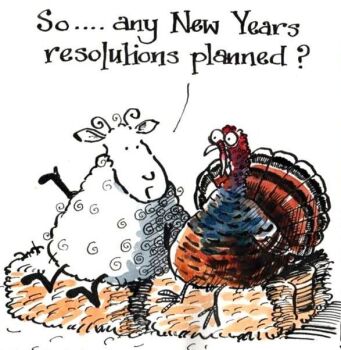 A New Year Card: Turkey Themed  -  A Unique Way to Ring in the New Year