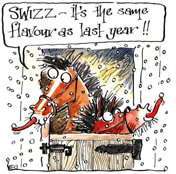 Horse Lovers Christmas Card - Festive Greetings From The Stable