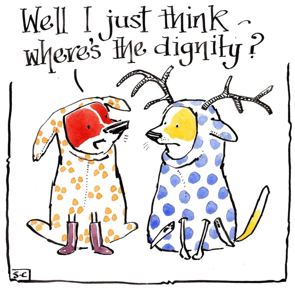  Doggy Christmas Card - Canine Thoughts On Christmas Outfits - Where's The Dignity?