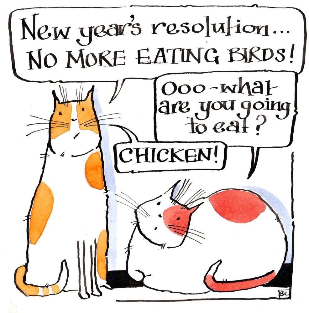 Christmas cat card. With 2 cartoon cats discussing New Years Resolutions  N