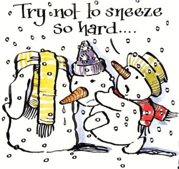 Try Not To Sneeze