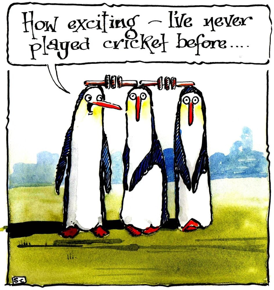 Cricket Birthday Card - with added penguins - it's just the wicket!