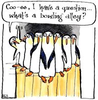 Penguin Ten Pin Bowling Card  -  Bowling Alley Fun