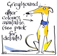 Greyhound Colours