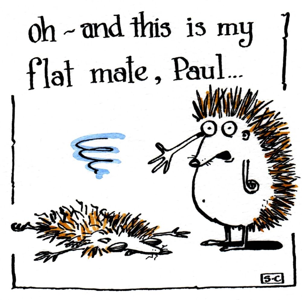 Flat Mate Paul - The Downside of Hedgehog Life
