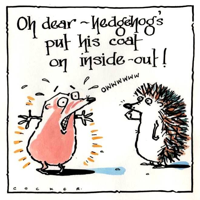 Hedgehog & Gardening Cards | Stephen Cocker Cards