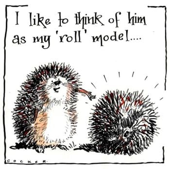 Hedgehog Roll Model