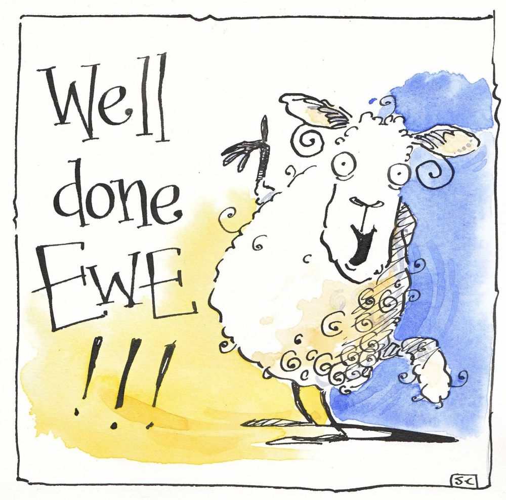 Well Done Ewe Card - Congratulations - Exam Results,  New Job,  Driving Test