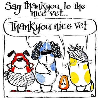Thanks To The Nice Vet