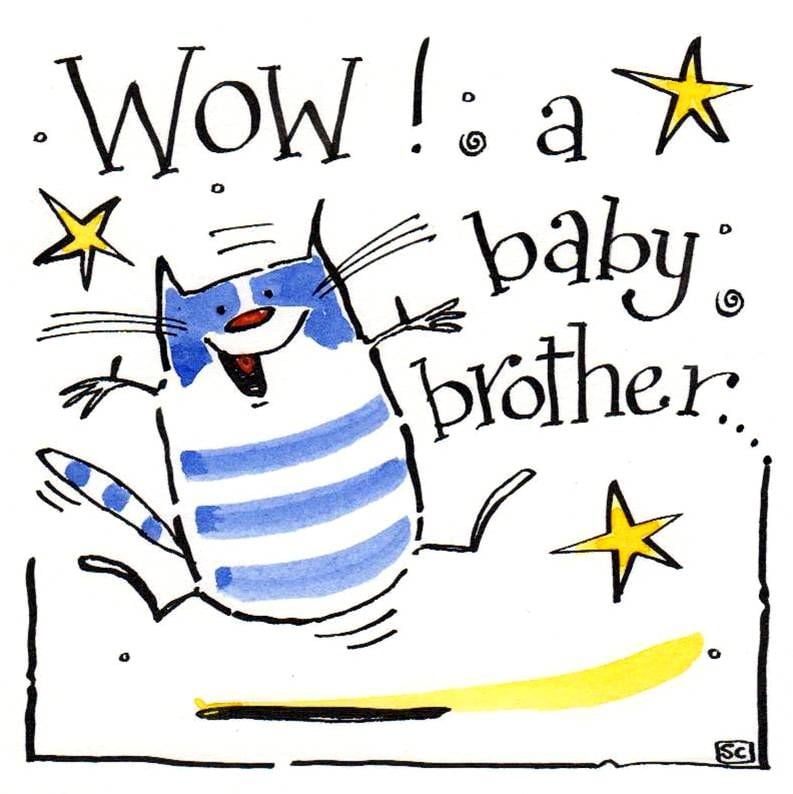 New Baby Brother card with cartoon cat and caption: New Baby Brother