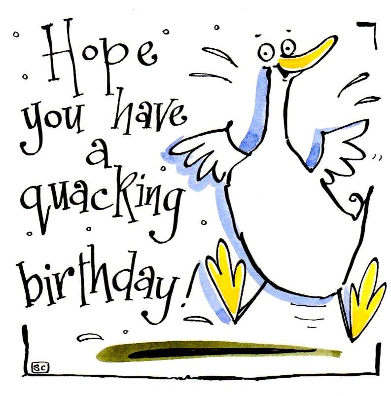 Birthday card with cartoon duck with the caption Hope You Have A Quacking B