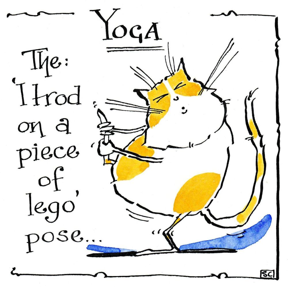 Funny cat card with cartoon cat. Caption: Yoga - The: I Trod On A Piece Of 