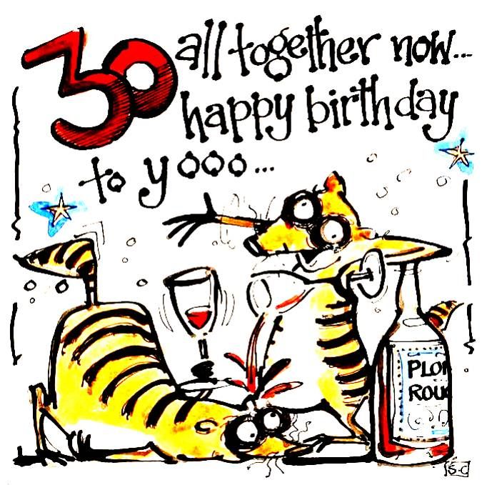 30th Birthday card with two cartoon meerkats drinkingwith caption:  30 All 