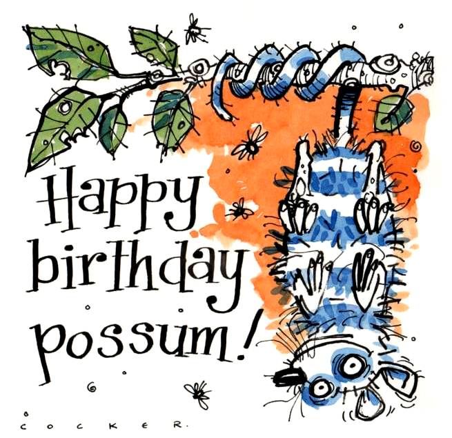 Birthday card with Possum upside down in tree. Caption is Happy Birthday Po