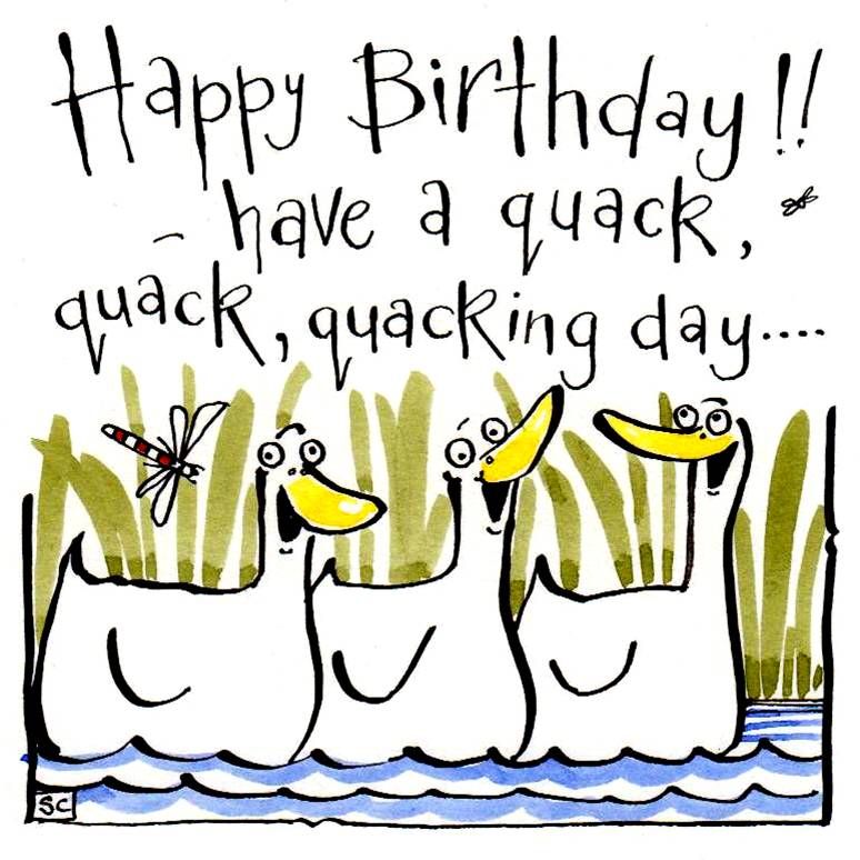 Birthday card with 3 cartoon ducks with caption Happy Birthday Have A Quack