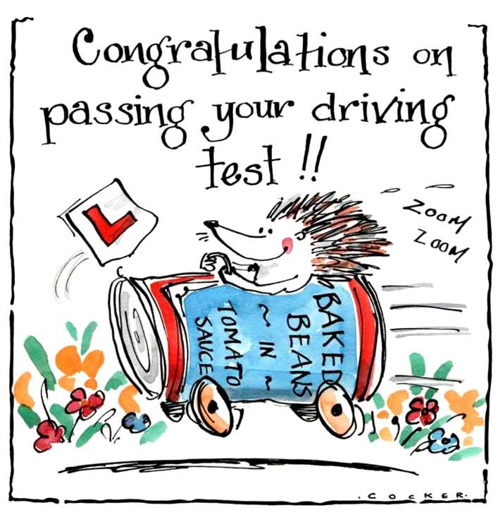 Congratulations on passing your driving test card with  hedgehog in  baked 