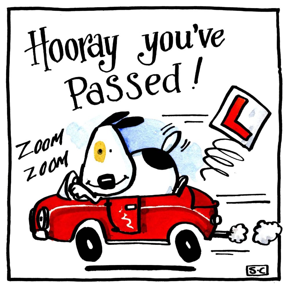 Driving Test Card cartoon dog in car with caption Hooray You've Passed.