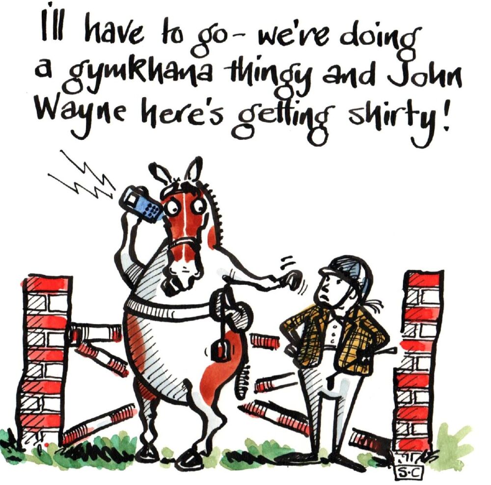 Greeting Card Showjumping horse & rider with caption from horse comparing r