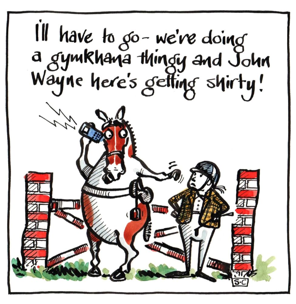 Greeting Card Showjumping horse & rider with caption from horse comparing r
