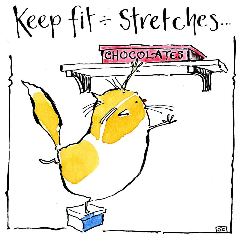 Greeting card with cartoon cat and chocolate box.Caption reads Keep fit - S