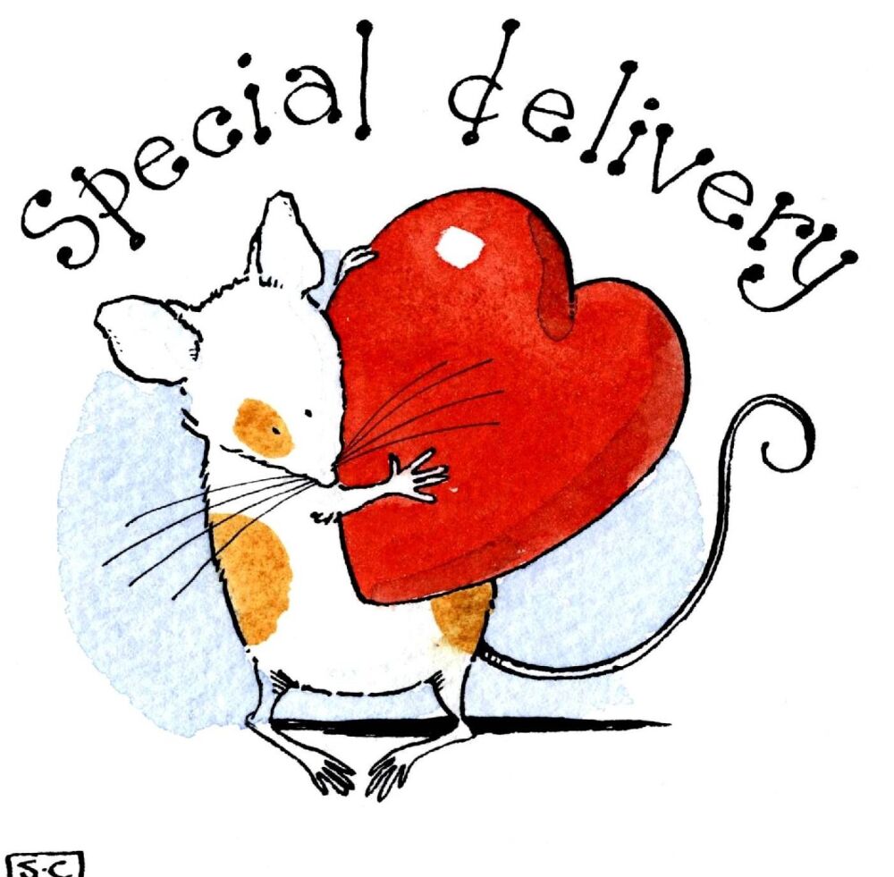 Special Delivery Valentine's Day Card
