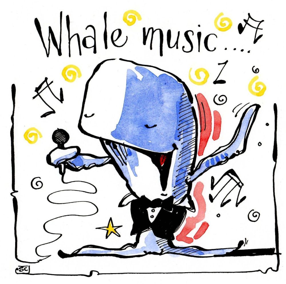 Greeting card with cartoon Whale singing. With the caption Whale Music