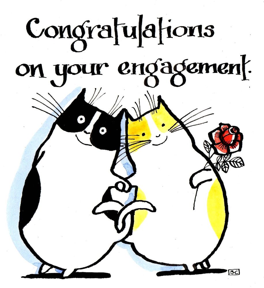 Funny Engagement CardStephen Cocker Cards