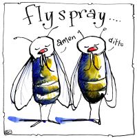 Fly S Pray