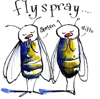 Fly S Pray