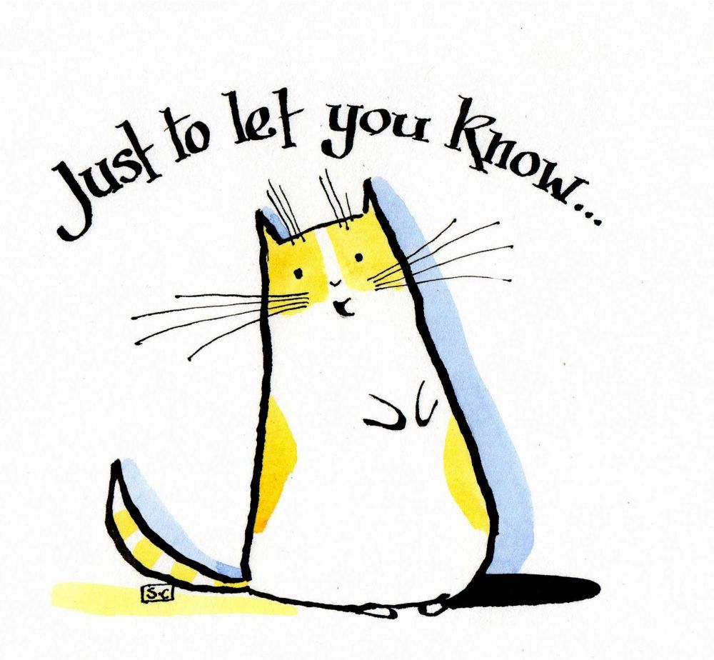 General purpose greeting card with cartoon cat . 'Just To Let You Know'