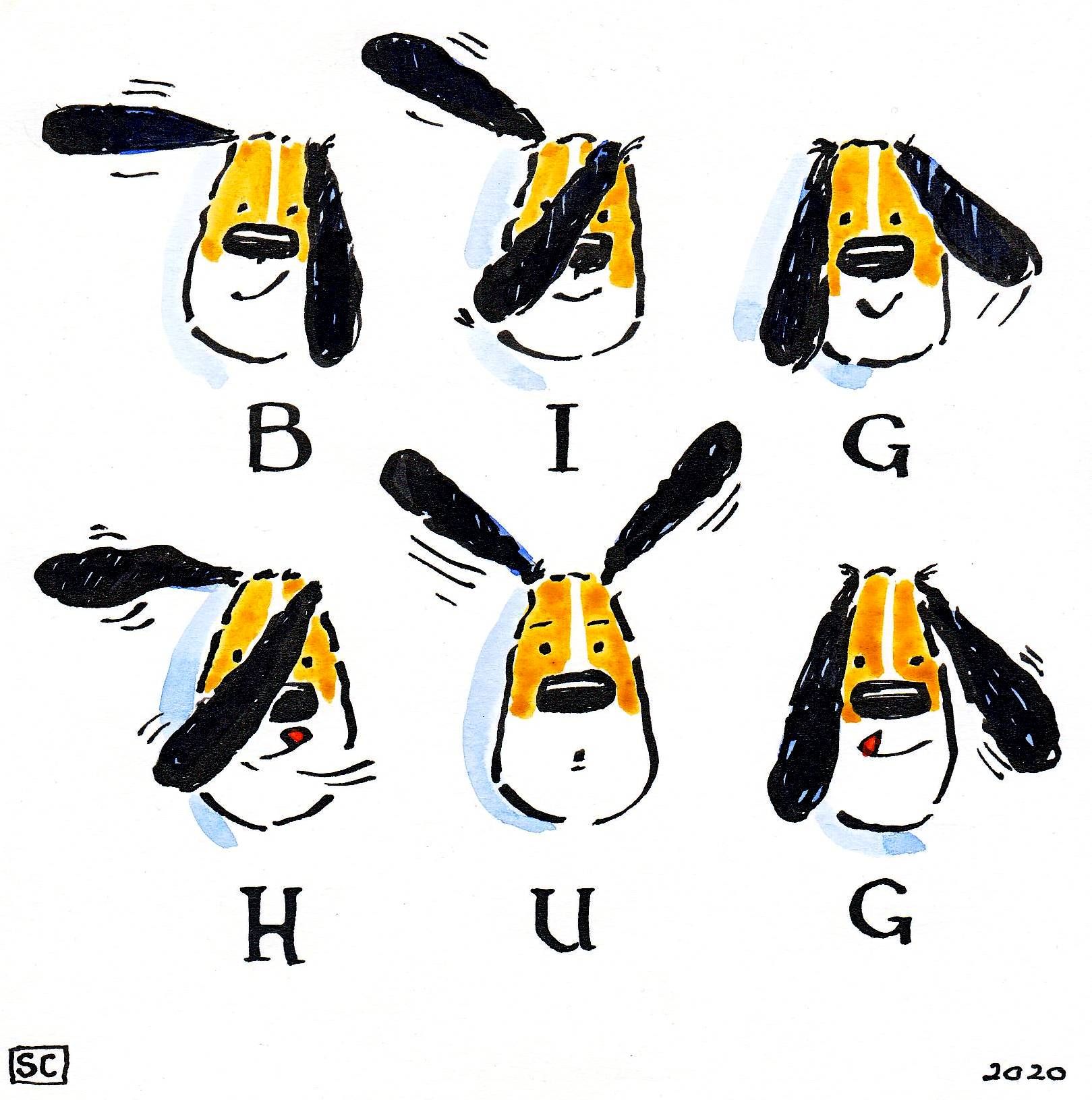 Funny dog card. Semaphore dog card with caption Big Hug