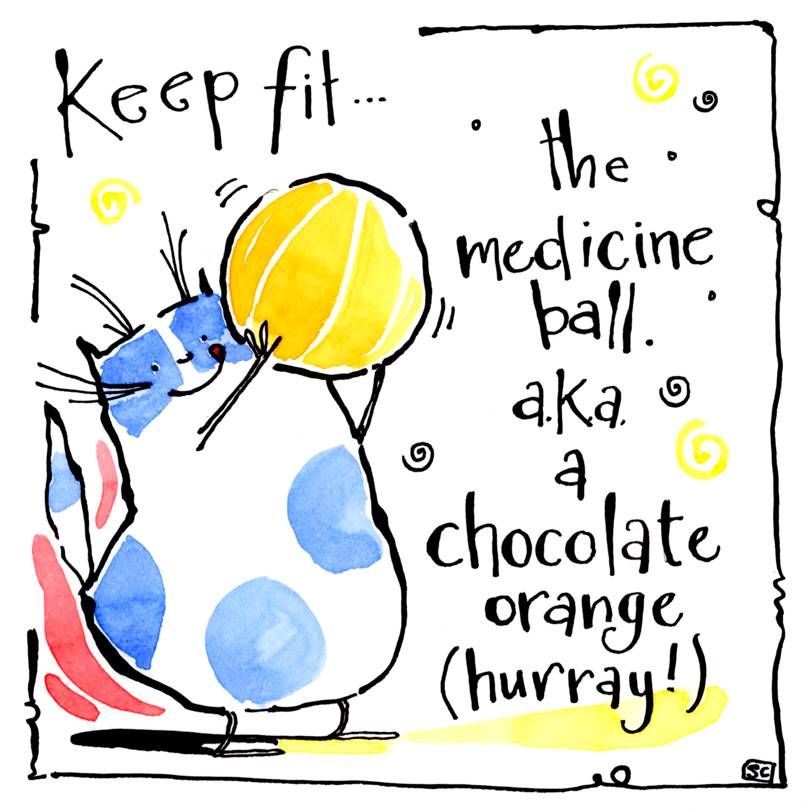 Greeting card with cartoon cat with Chocolate Orange. Caption: the medicine