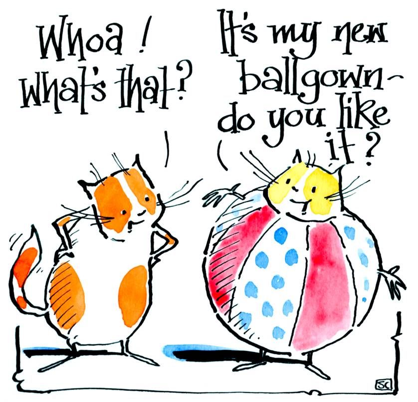 Funny cat card with two cartoon cats. One wearing a ball with caption What'