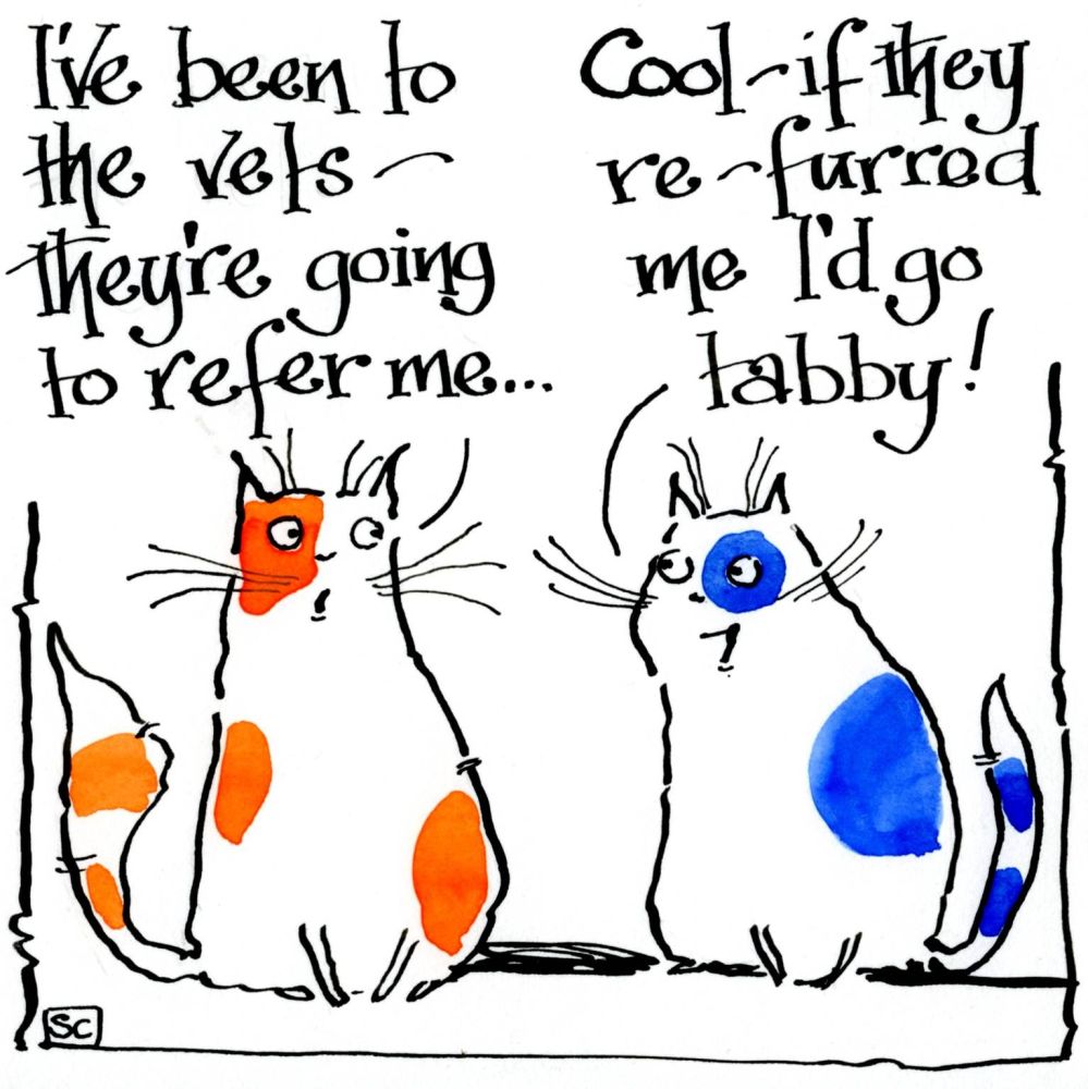 Funny cat card with cartoon cats chatting about being re-furredRe-furred