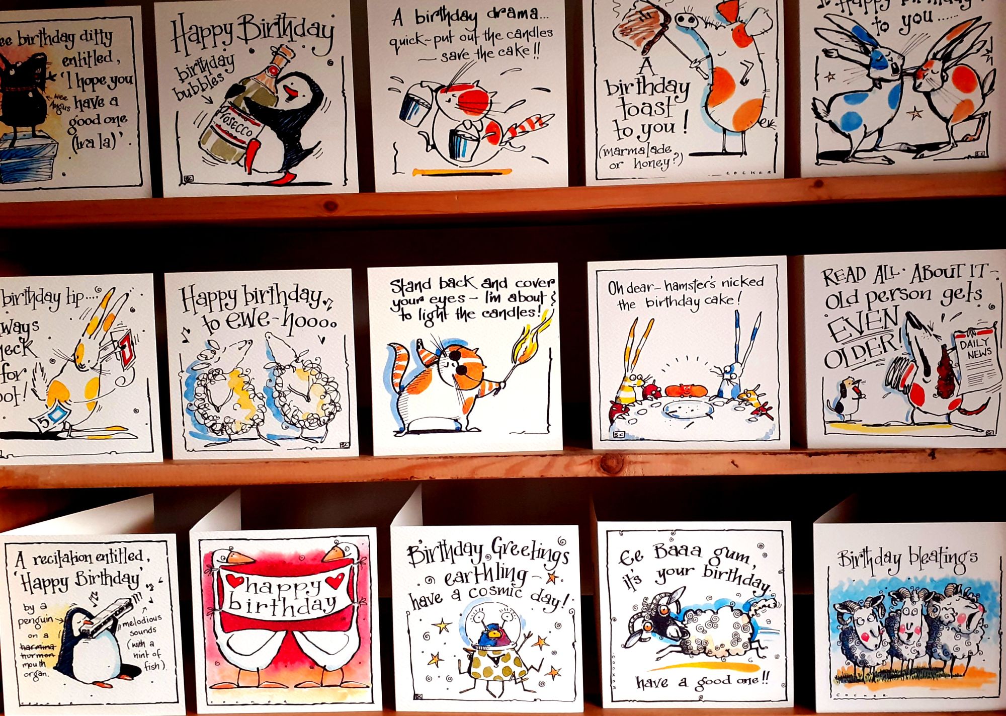Selection of Funny Birthday cards