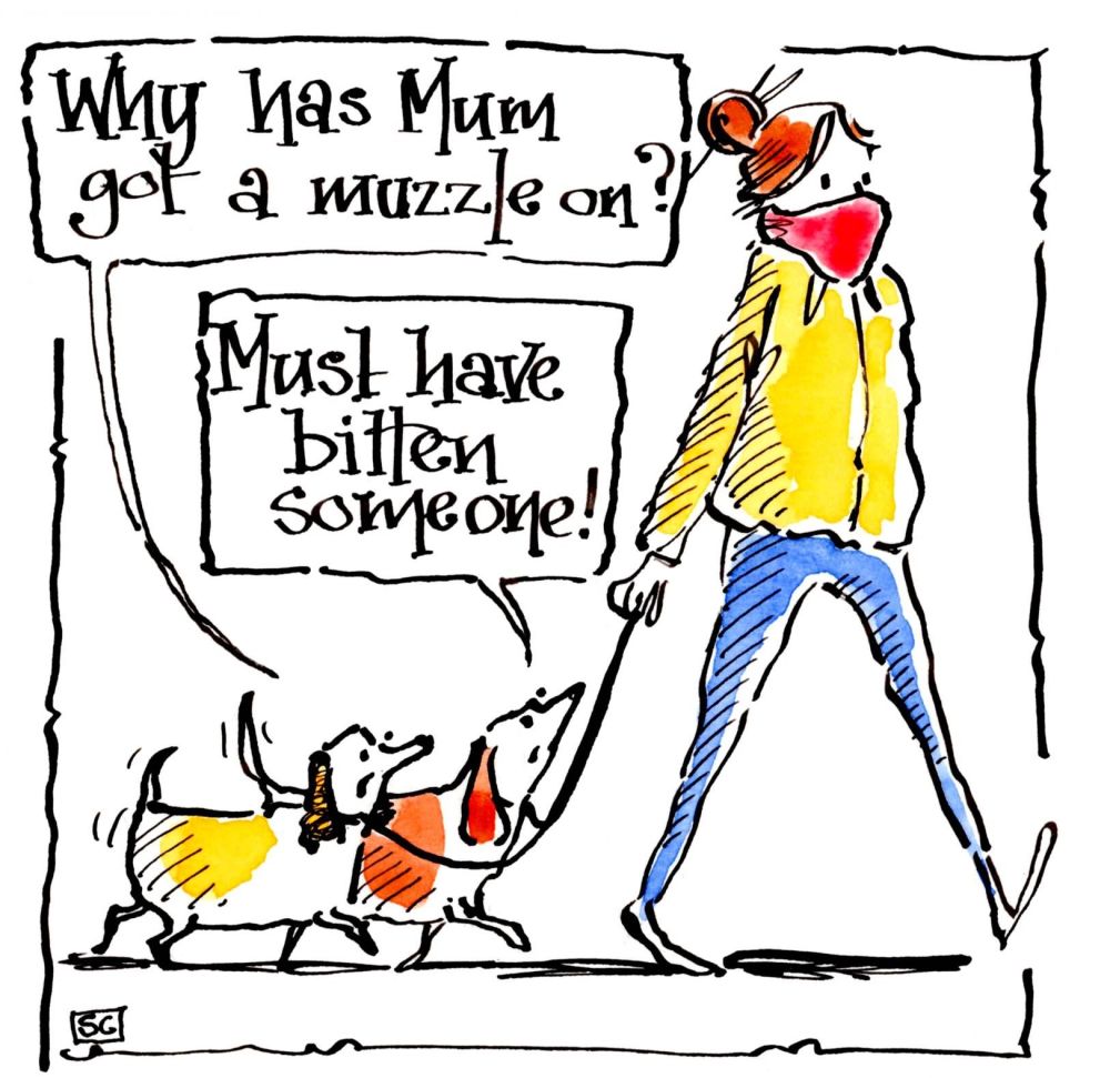 Quirky Dog Card. Dog walker wearing face  mask & dogs are confused. Why Has