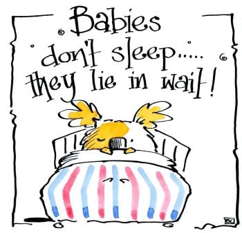                      Babies Don't Sleep They Lie In Wait