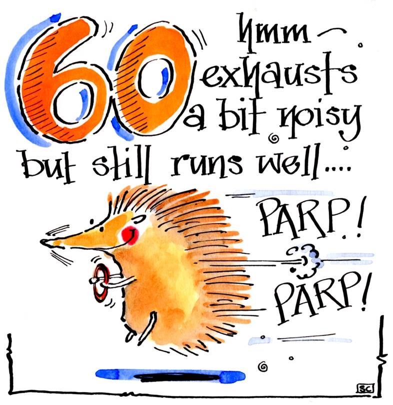 Funny 60th birthday card with cartoon of hedgehog and caption 60 Parp exhau