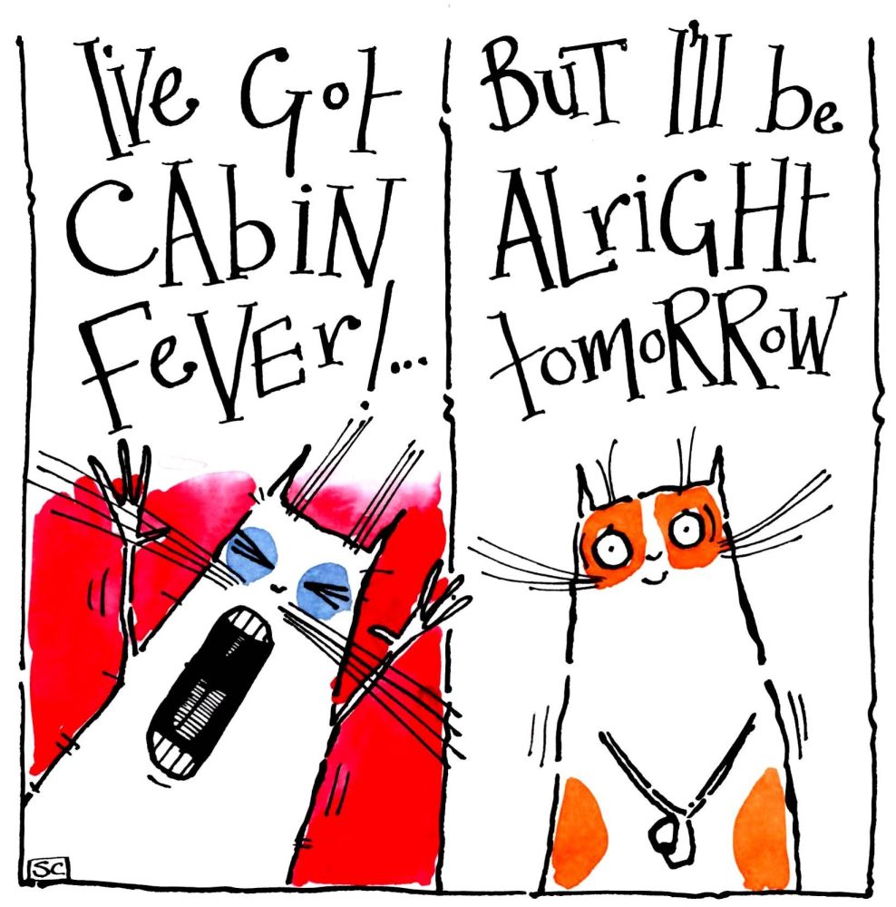              Funny card with two cats one yelling I've got Cabin Fever and 