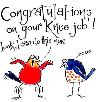 Knees - Congratulations On Your Knee Job!