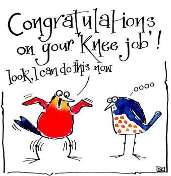 Knees - Congratulations On Your Knee Job!