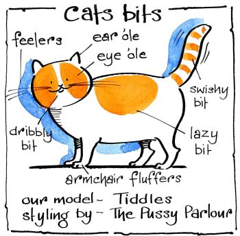 Cat's Bits