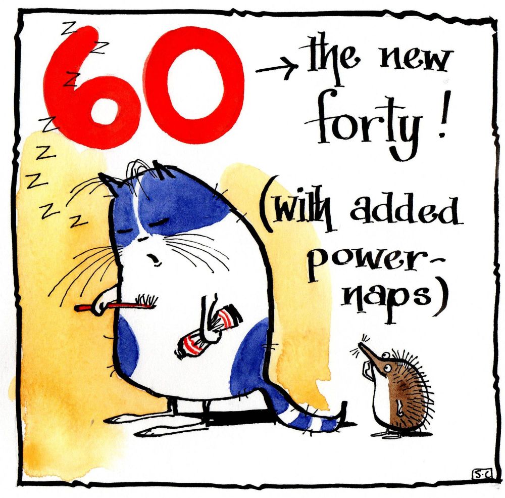 Funny 60th Birthday card with cartoon cat & hedgehog with caption:60 - The 
