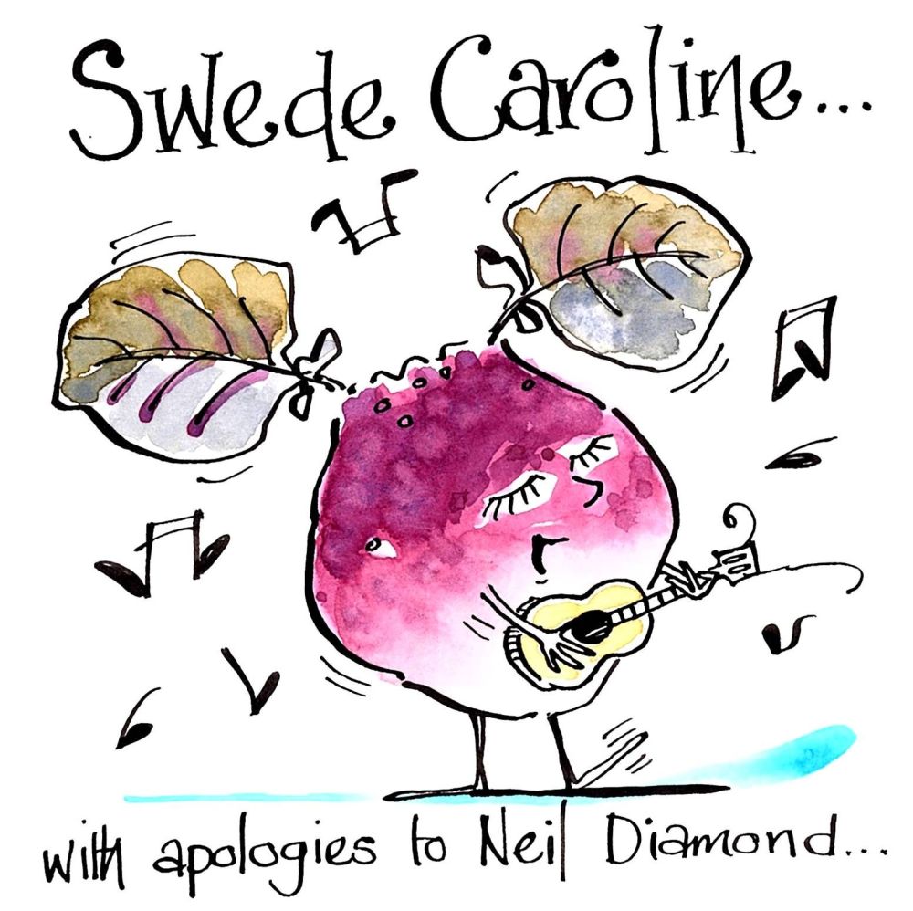 Funny Greeting card for music lovers cartoon of a swede/turnip playing guit