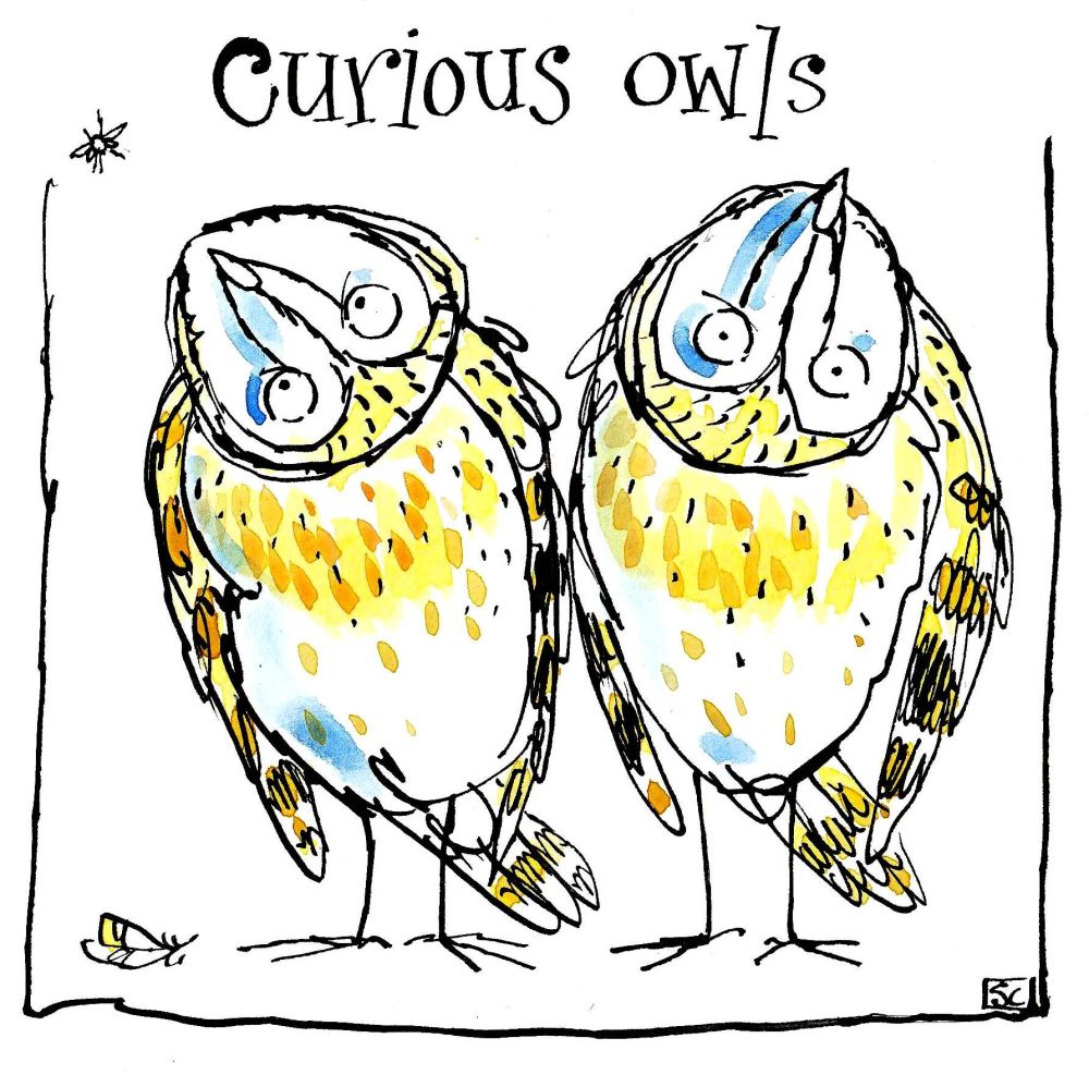 Funny greeting card with cartoon owls and caption: Curious Owls