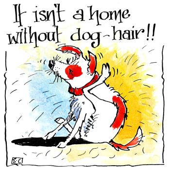 It's Not a Home Without Dog Hair!